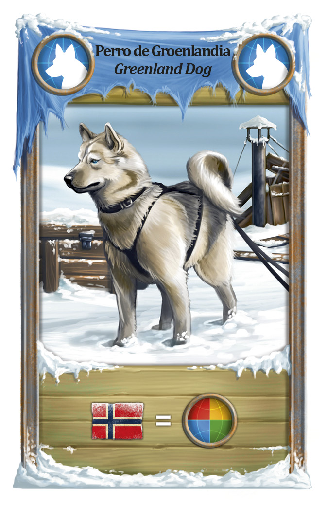 Greenland dog, blue