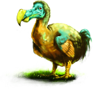 Dodo