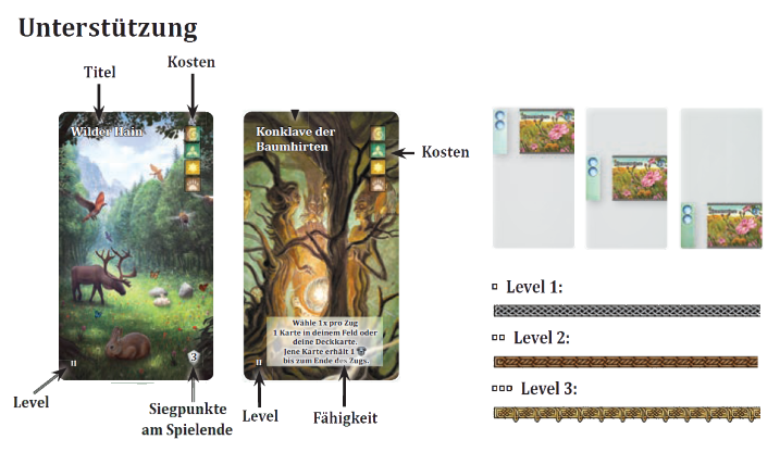 Card Anatomy 3