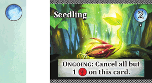 Seedling