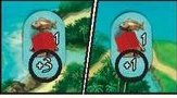 Beispiel: Rot hat Fischplättchen mit +3 und +1, aber kein Schaf. Schaf + Fisch bringt 3 + 3 + 1 = 7 Punkte.