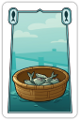Fish Fish