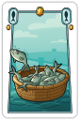 Fish Fish