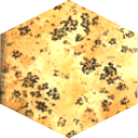 15 x plains