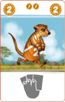 Meerkat