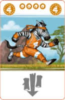 Zebra