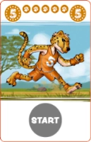 Cheetah