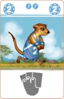 Animal card