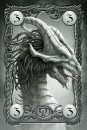 Grau Drachen 3